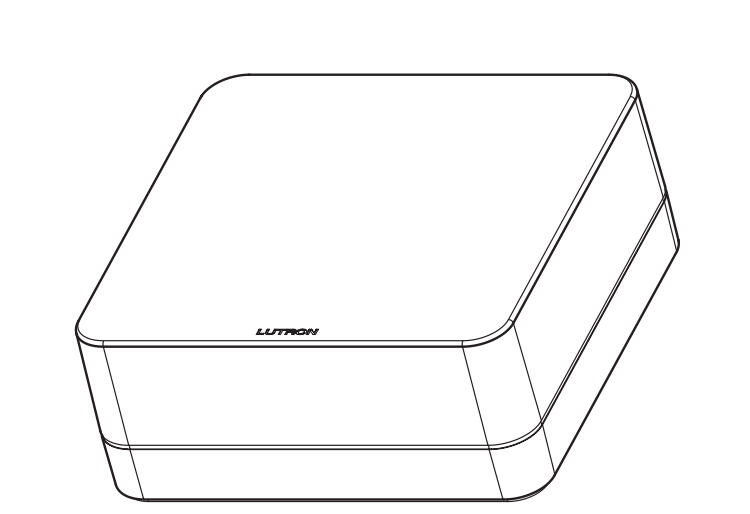 RA2 Main Repeater